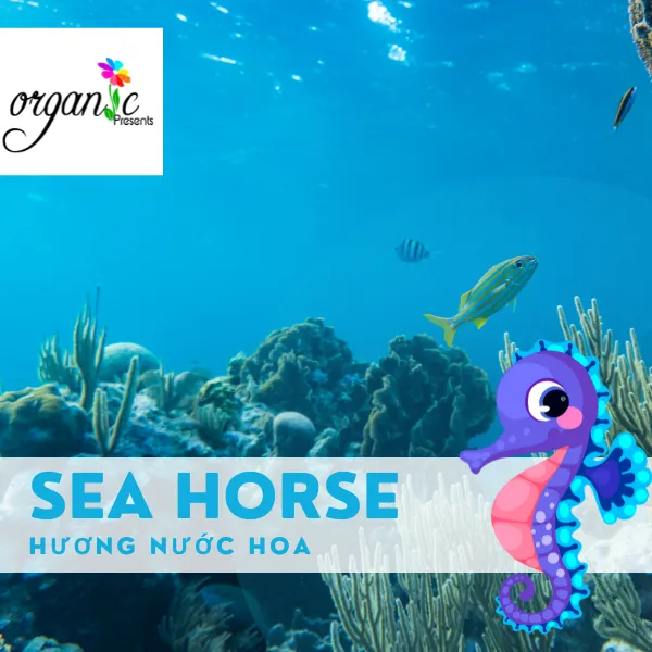 SEAHORSE ( ZOOLOGIST FRAGRANCE OIL)