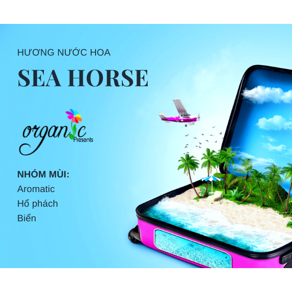 SEAHORSE ( ZOOLOGIST FRAGRANCE OIL)