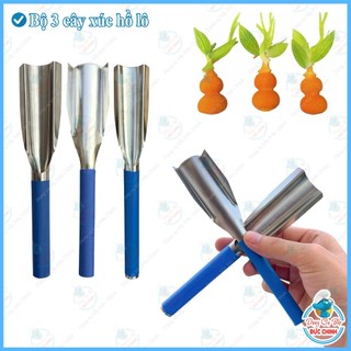 Dao tạo hình rau củ,sấn tạo hình