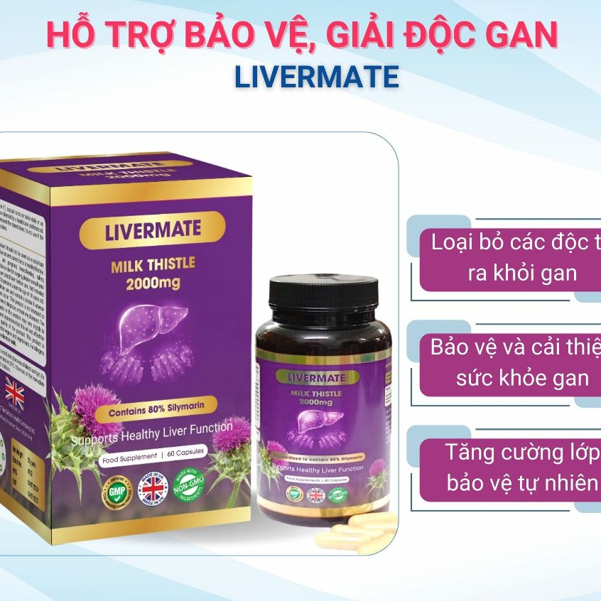[TẶNG SIRO HO 65K] Viên Uống Giải Độc Gan Livermate - Hỗ trợ Tăng Cường Bảo Vệ Gan Khỏi Tổn Thương - 60 Viên