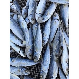 Cá nục khô hấp nhạt, vị nhạt vừa miệng, phơi khô thủ công,không chất bảo quản,ko đường
