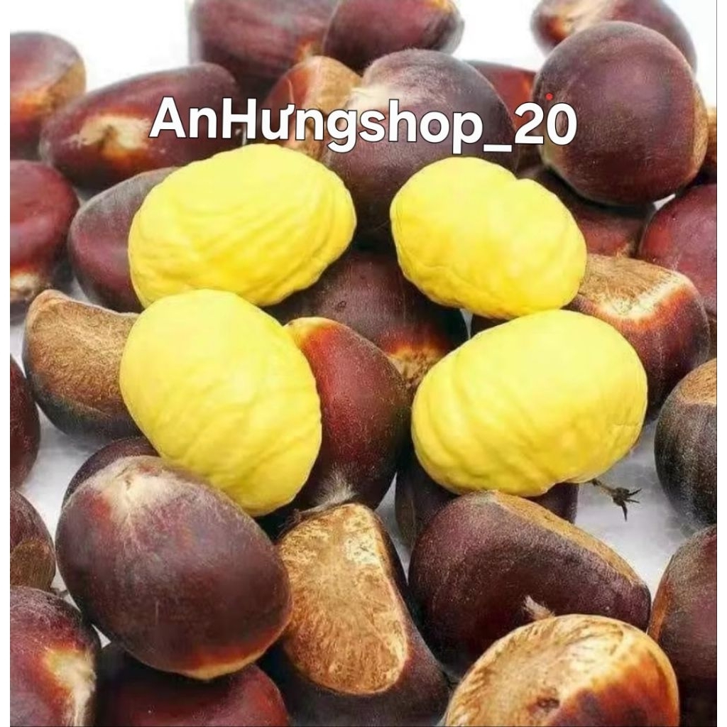 1kg HẠT DẺ SAPA- Loại 1 (bở bùi), thơm ngon, khách ở xa đọc kĩ bài trước khi đặt hàng ạ.- hạt sống