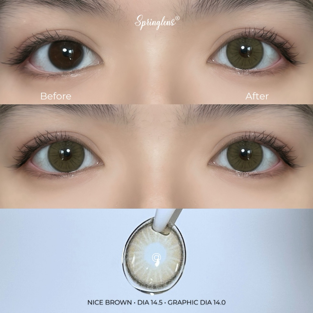 Kính áp tròng nâu rêu NICE BROWN tây sáng viền giãn tròng to 1 tháng | Spring Lens