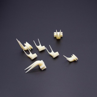 Nĩa Ăn Trái Cây Cho Chim Cảnh, Vẹt, Sáo Đá – Phụ Kiện Cắm Hoa Quả Cho Lồng Chim Cỡ Nhỏ & Lớn