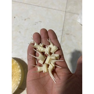Nĩa Ăn Trái Cây Cho Chim Cảnh, Vẹt, Sáo Đá – Phụ Kiện Cắm Hoa Quả Cho Lồng Chim Cỡ Nhỏ & Lớn