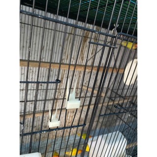 Nĩa Ăn Trái Cây Cho Chim Cảnh, Vẹt, Sáo Đá – Phụ Kiện Cắm Hoa Quả Cho Lồng Chim Cỡ Nhỏ & Lớn