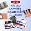 Kem Bôi Thảo Dược SAKIMI Loại Bỏ Bạch Biến, Lang Ben, Làm Mờ Đốm Trắng, Phục Hồi Sắc Tố Da, Cao Bôi Cố Truyền SAKIMI