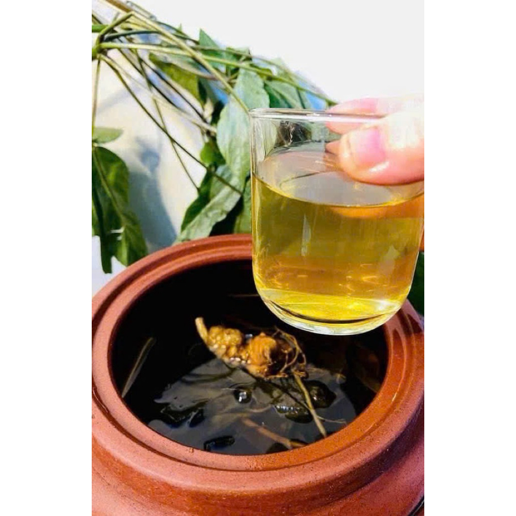 Rượu Sâm Ngọc Linh Lai Châu 750ml | Ngâm Ủ Men Lá Tự Nhiên, Thơm Đậm Vị Sâm, Quà Tặng Cao Cấ