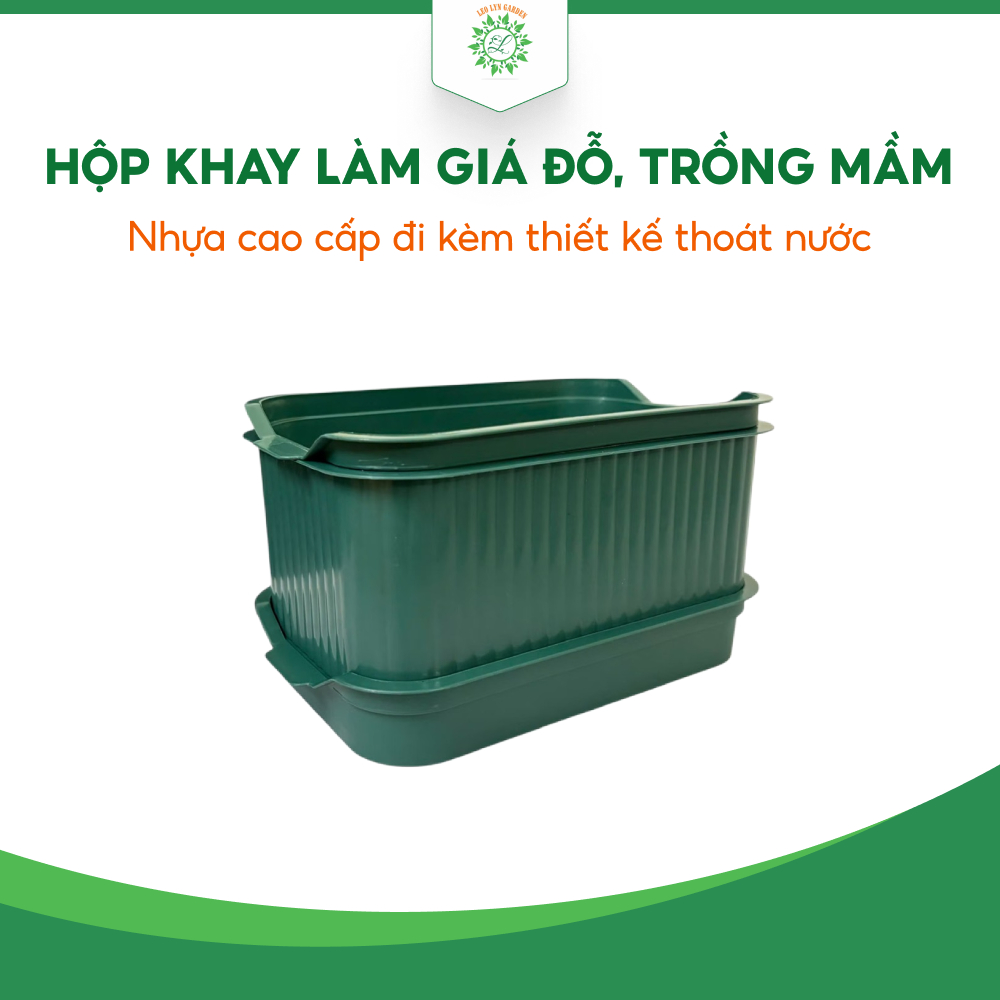 Hộp Khay Làm Giá Đỗ, Trồng Rau Mầm Siêu Thị Làm Vườn Leo Lyn Dụng Cụ Tự Trồng Rau Sạch An Toàn AMIZIN