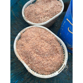 ComBo 4 Chai Mắm Tép Ba Làng 600Gr