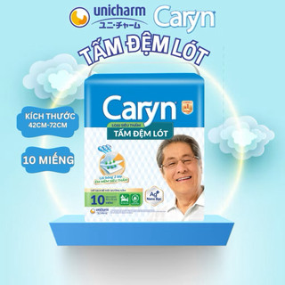 Tấm đệm lót Caryn 10 Miếng - LÊ MINH HƯƠNG SHOP