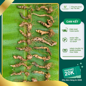 1kg Sâm Rừng Lai Châu Cổ Dài Hàng Tự Nhiên Chất Lượng Cao