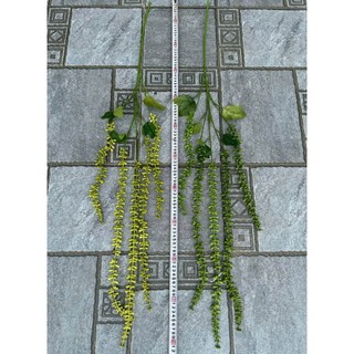 rủ tiêu cao su vip 112cm hàng loại 1