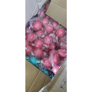 COMBO 2 Đồ chơi cá heo vặn cót lội nước, cá bơi trong nước, Đồ chơi nhà tắm cho bé
