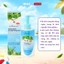 Dung dịch vệ sinh DrSoftly nha đam dưỡng ẩm dịu nhẹ,hương bạc hà tươi mát 150ml