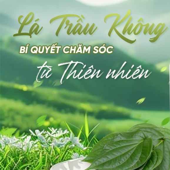 Dung dịch vệ sinh Drsusoft an toàn cho Mẹ Bầu Lá Trầu Không, tạm biệt viêm nhiễm, mùi hôi, khí hư ẩm ướt khó chịu -130ml