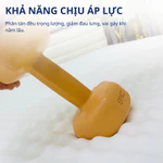 Nệm gấp 2 massage cao su non Trung Nguyên, nệm êm ái, nâng đỡ tốt thiết kế có hạt massage hỗ trợ xương khớp. — ảnh 5