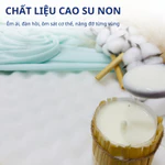 Nệm gấp 2 massage cao su non Trung Nguyên, nệm êm ái, nâng đỡ tốt thiết kế có hạt massage hỗ trợ xương khớp. — ảnh 2