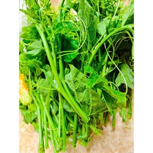 Hạt Bí Giống Siêu Ngọn – Trồng Rau Sạch Tại Nhà, Rau bí xào tỏi, rau bí ngon hơn hay quả ngon hơn