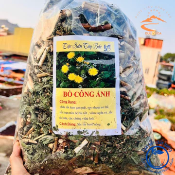 Lá, cây bồ công anh rừng Tây Bắc sấy khô loại 1 từ bồ công anh tươi. Trà bồ công anh hữu cơ sấy lạnh