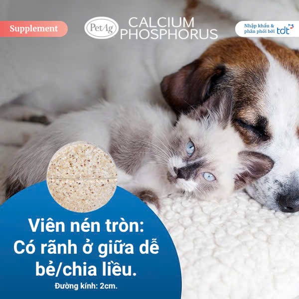[ DATE 02/2028 ] HỘP 50V BỔ SUNG CANXI PETAG CALCIUM PHOSPHORUS DÀNH CHO CHÓ MÈO HÀNG CHÍNH HÃNG