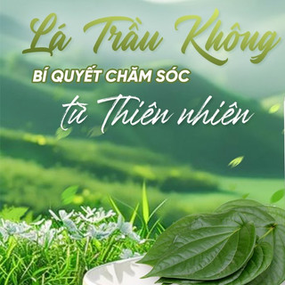 Dung dịch vệ sinh Drsusoft Lá Trầu Không – Sạch thoáng, giảm viêm nhiễm an toàn cho bà bầu và sau sinh