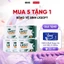 Combo 5 Gói Băng Vệ Sinh LXSoft Hàn Quốc - Bạc hà - Siêu mỏng - Siêu thấm hút
