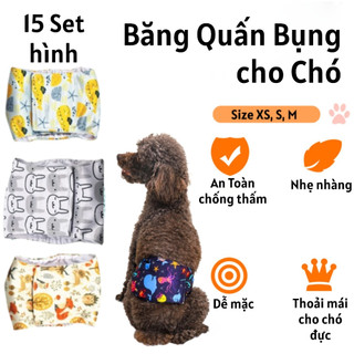 Tả Quấn Bụng Chó Nhỏ XS Eo 10-20cm, Giặt Tái Sử Dụng | Quấn Bụng Vải In Hình Dễ Thương