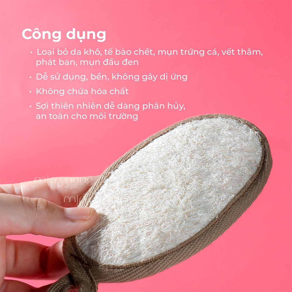 Bông Tắm Xơ Mướp Tẩy Tế Bào Da Chết, Siêu Sạch, Mịn Màng Từ Trái Mướp Vườn Tự Nhiên Thân Thiện | BigBuy360 - bigbuy360.vn