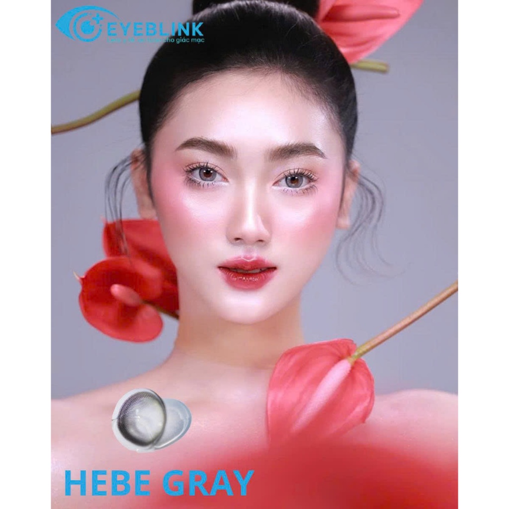 Kính áp tròng màu xám tây Hebe Gray chất liệu Silicone Hydrogel 14h-24h hạn dùng 6 tháng EyeBlink