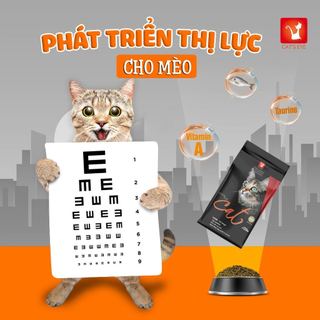 [1kg] Cat's eye Thức ăn hạt cho Mèo, kiểm soát búi lông, hỗ trợ tiêu hoá, tốt cho Da và Lông