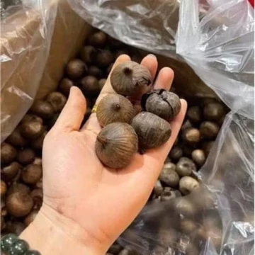 tỏi đen 250g -500g