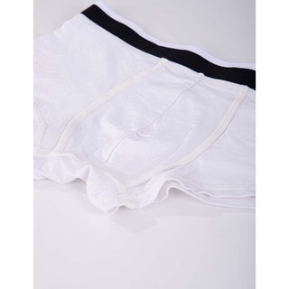Combo 2 Quần lót nam iBasic trunk bamboo kháng khuẩn thoáng khi thấp hút vượt trội PANM129