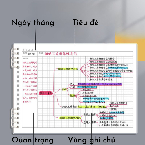 Vở Còng, Sổ Còng Nhựa Kiểu Sơ Đồ Tư Duy Mind Map, 120 Trang Giấy 80 GSM - Sổ Còng Thay Được giấy, Không Đau Tay
