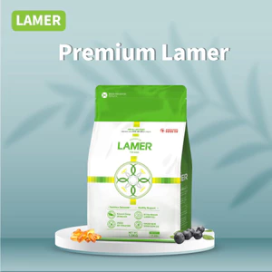 Thức ăn khô cao cấp cho cún Premium Lamer bổ sung dinh dưỡng & tăng cường miễn dịch túi 1.5kg