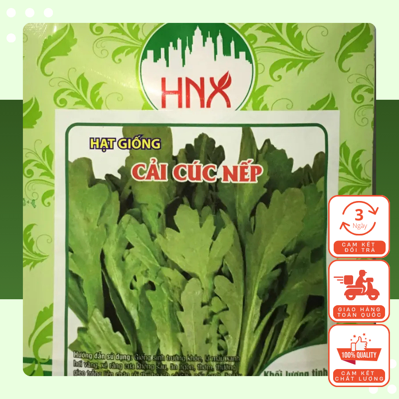 Hạt Giống Rau Tần Ô (Rau Cúc) Chịu Nhiệt, Năng Suất Cao 20gr