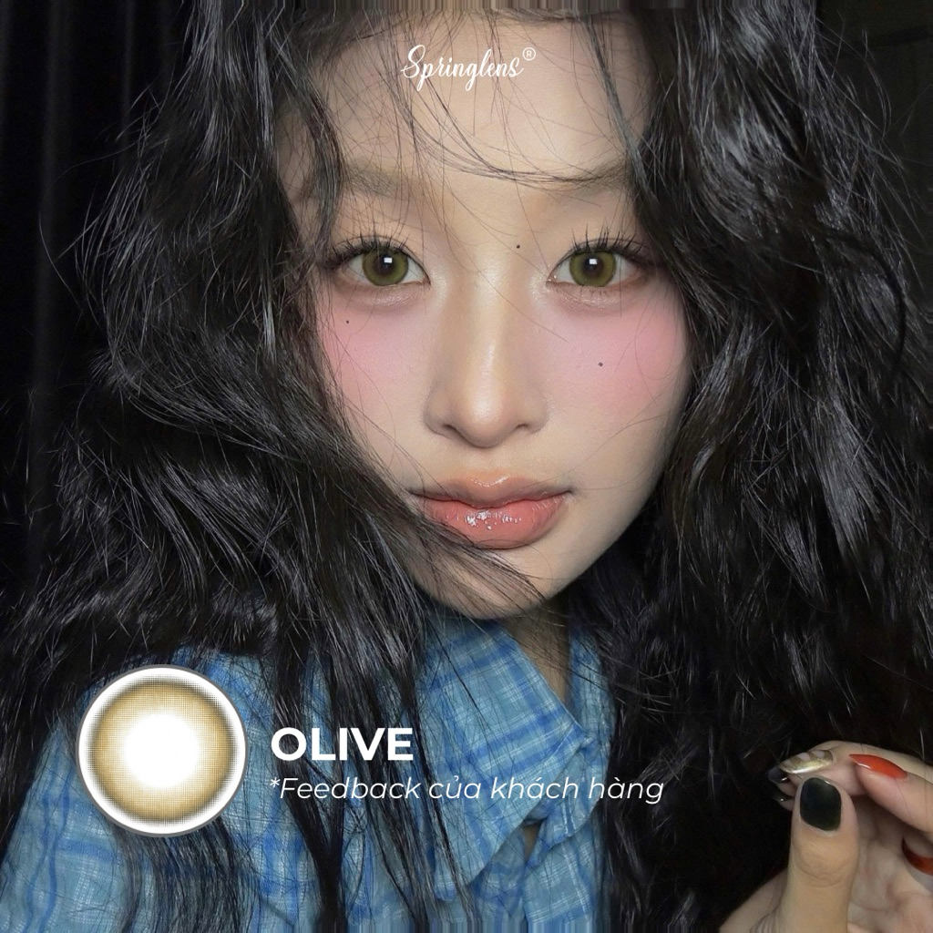 Kính áp tròng Olive Brown nâu rêu xanh Green trong giãn vừa 3 tháng 0-7 độ | Spring Lens