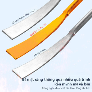 Xẻng Cầm Tay Inox Chất Lượng Cao - Dụng Cụ Làm Vườn Bền Bỉ Đào Đất Nhổ Cỏ Dễ Dùng