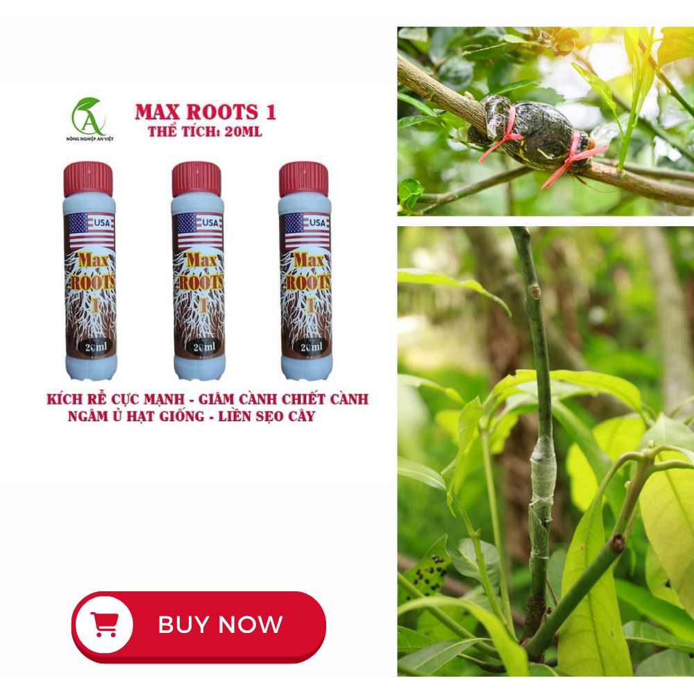 Combo 3 Kích rễ Max Roots 1 - 20ml, tăng cường cho cây lan cảnh, hoa ...