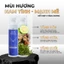 Set Men's Power Solul Sữa Tắm Gội nam 2in1 420g & Dung dịch vệ sinh nam 210g&Body mist 120g