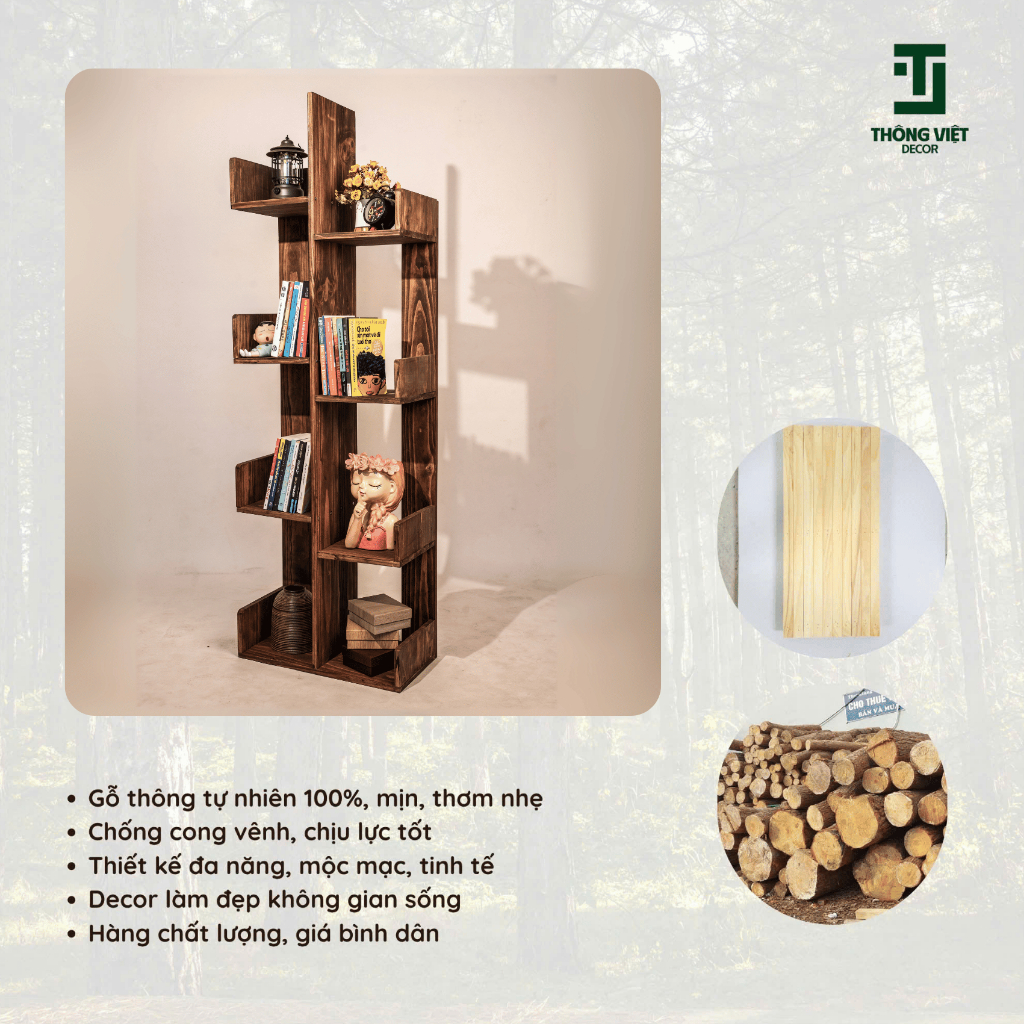 [TV-D007]Kệ Sách Đa Năng Xương Rồng , Giá Sách Trang Trí Để Bàn Decor Phòng Gỗ Thông Đẹp Tinh Tế