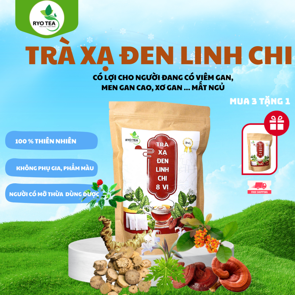 Thiết kế của Trà Thảo Mộc Xạ Đen Tiêu Chuẩn