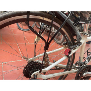 Gacbaga, yên sau xe đạp thể thao (Phù hợp với xe Laux jack, Mingu, Laux jack gấp, Limit racing)