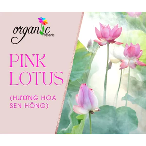 HƯƠNG HOA SEN HỒNG (PINK LOTUS )