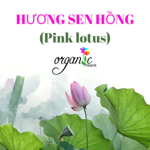 HƯƠNG HOA SEN HỒNG (PINK LOTUS ) 50mL 100mL