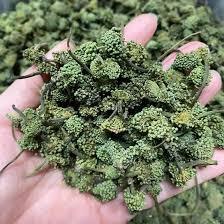 500g Nụ Hoa Tam Thất Khô Sấy Lạnh (Đóng Túi Zip Cứng)