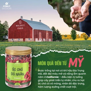 Hạt óc chó đỏ tách vỏ Fonut 500G- 250G hạt dinh dưỡng nấu sữa hạt, ăn vặt, ăn kiêng healthy