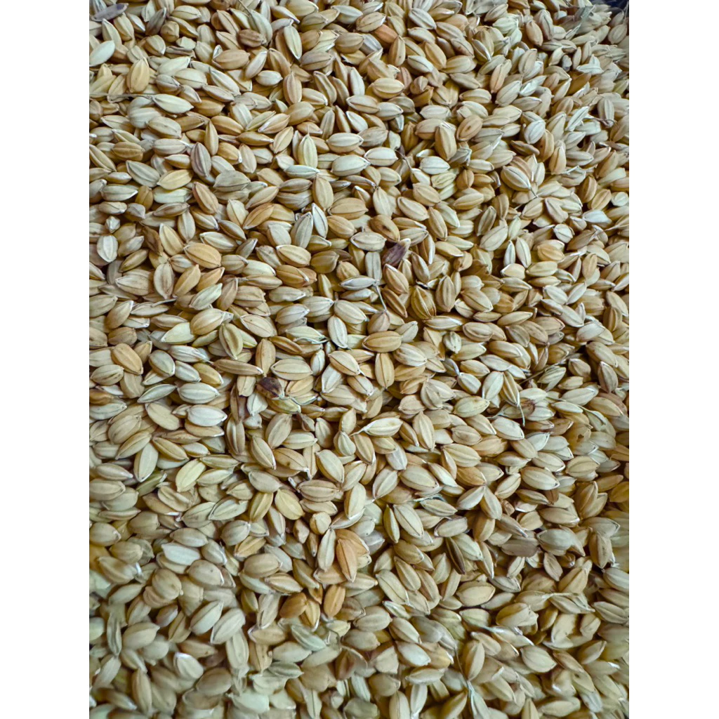 vn 11134207 820l4 megrv255umtif9