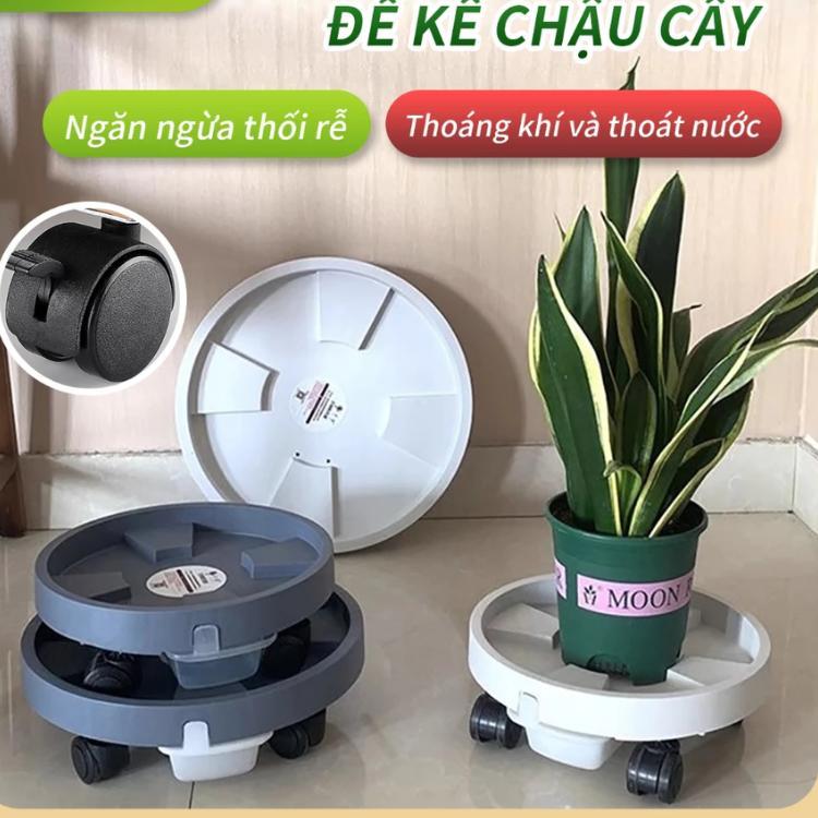 Đế nhựa di chuyển chậu cây có bánh xe xoay 360đ thiết kế hộp thoát nước thông minh chịu lực đến 50kg
