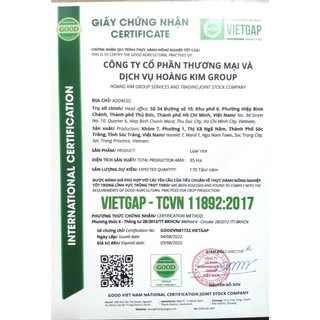 Gạo Hữu Cơ ST25 Hoàng Kim Thiên An 5kg – Gạo Sạch An Toàn, Cơm Dẻo Thơm Tự Nhiên, Thực Phẩm Healthy